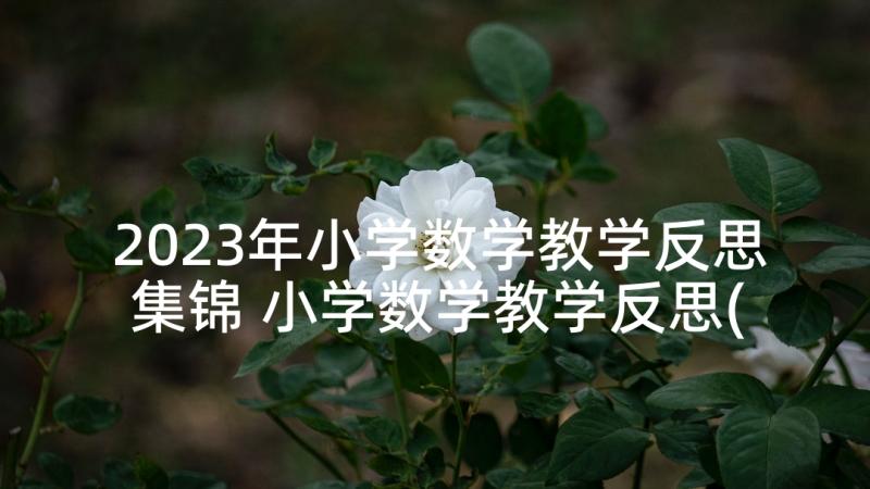 2023年小学数学教学反思集锦 小学数学教学反思(精选8篇)