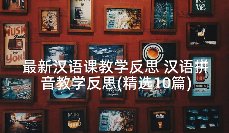 最新汉语课教学反思 汉语拼音教学反思(精选10篇)