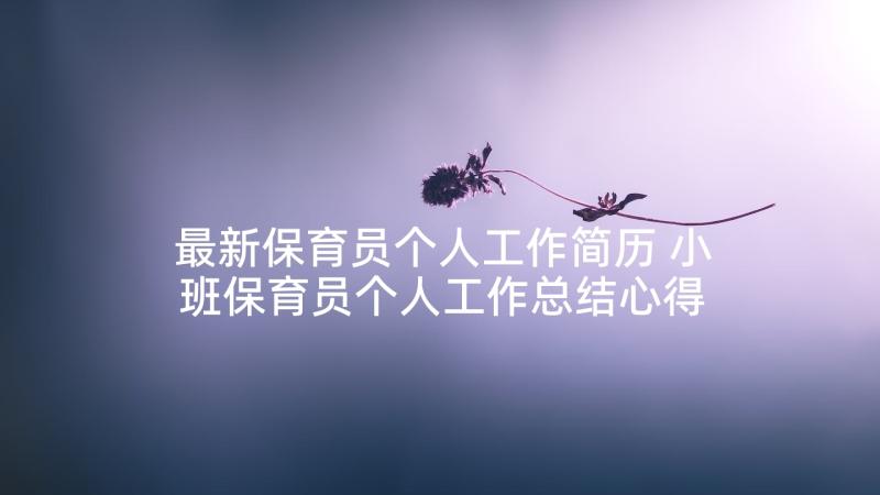 最新保育员个人工作简历 小班保育员个人工作总结心得体会(大全10篇)