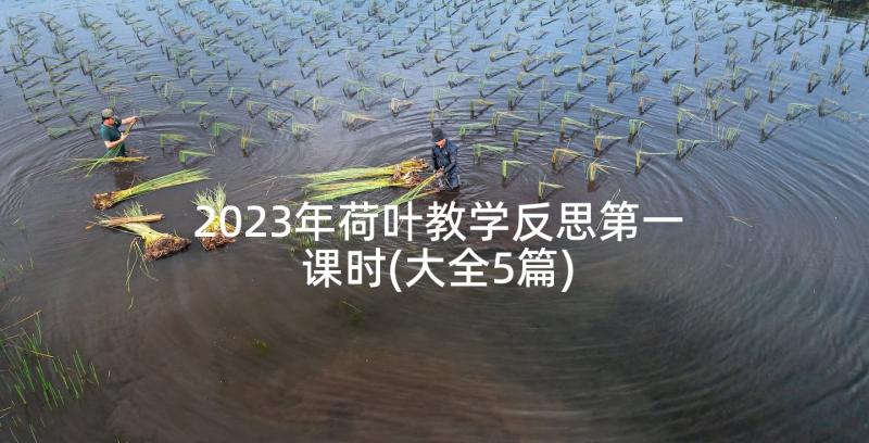 2023年荷叶教学反思第一课时(大全5篇)