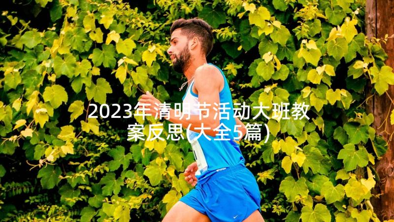 2023年清明节活动大班教案反思(大全5篇)