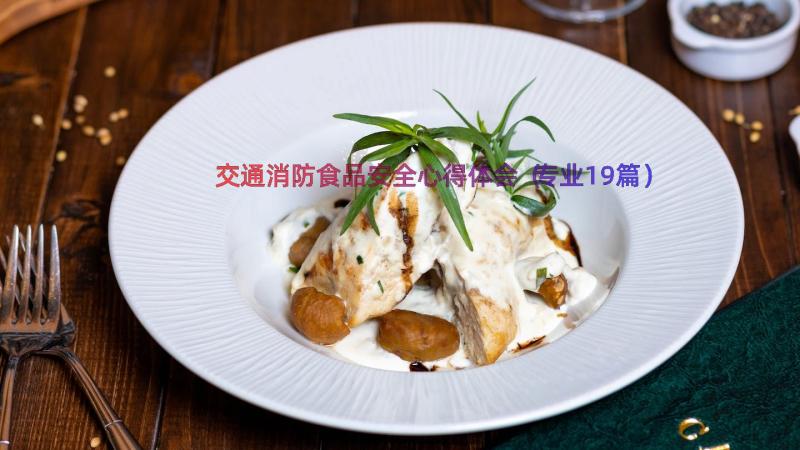 交通消防食品安全心得体会（专业19篇）