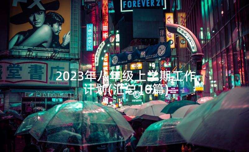 2023年八年级上学期工作计划(汇总10篇)