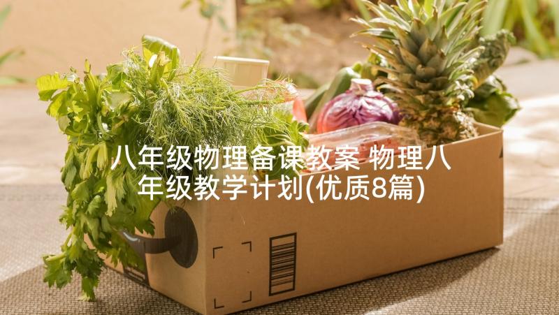 八年级物理备课教案 物理八年级教学计划(优质8篇)