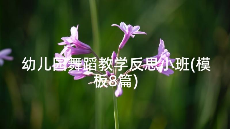 幼儿园舞蹈教学反思小班(模板8篇)