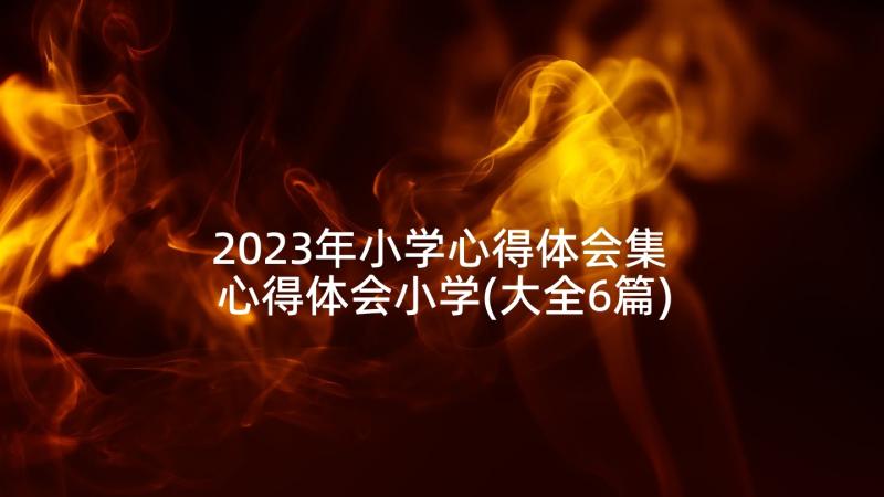 2023年小学心得体会集 心得体会小学(大全6篇)