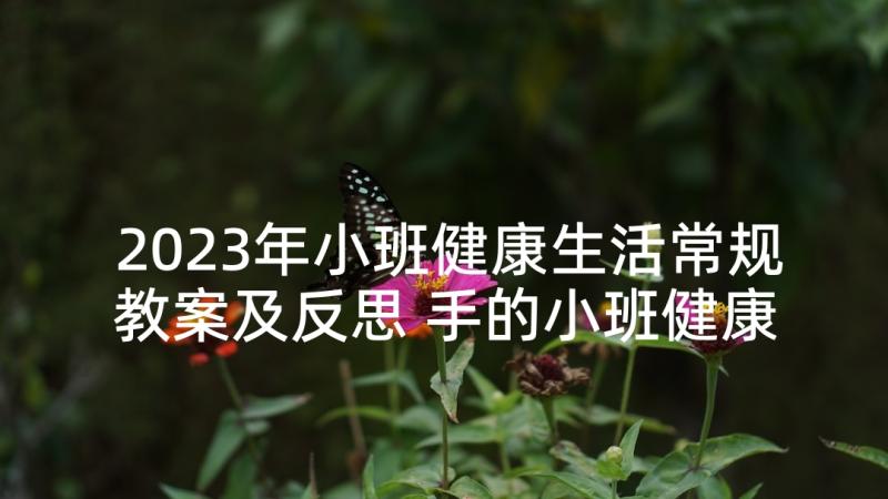 2023年小班健康生活常规教案及反思 手的小班健康教育活动教案(模板5篇)