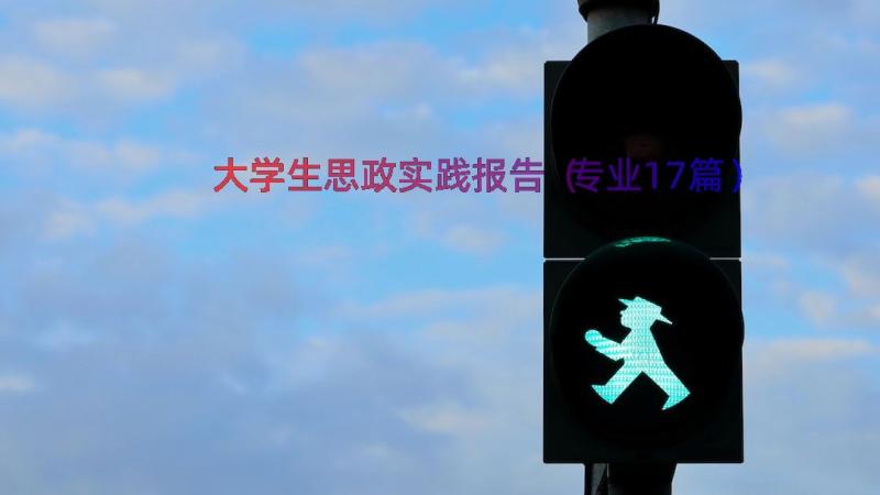 大学生思政实践报告（专业17篇）