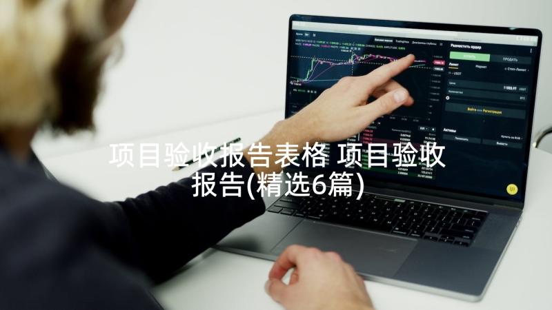 项目验收报告表格 项目验收报告(精选6篇)