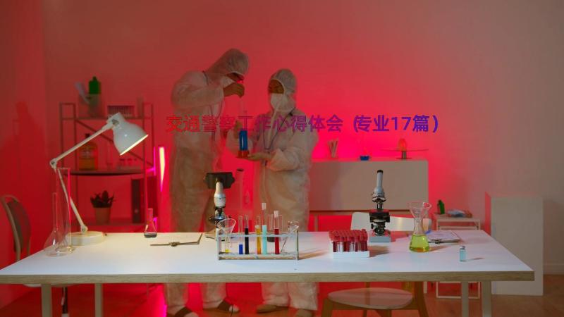 交通警察工作心得体会（专业17篇）