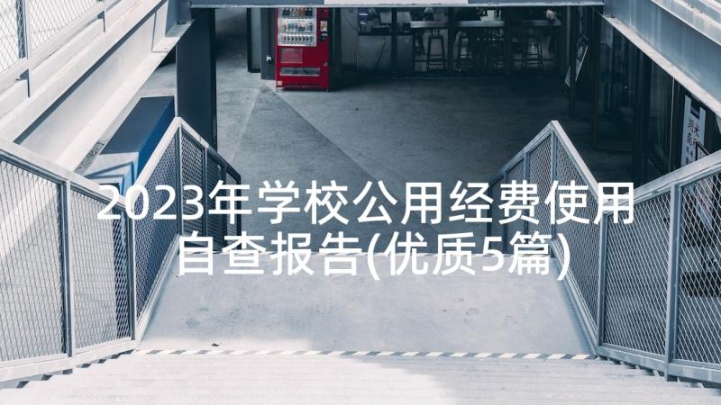 2023年学校公用经费使用自查报告(优质5篇)