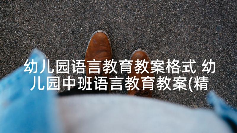 幼儿园语言教育教案格式 幼儿园中班语言教育教案(精选5篇)