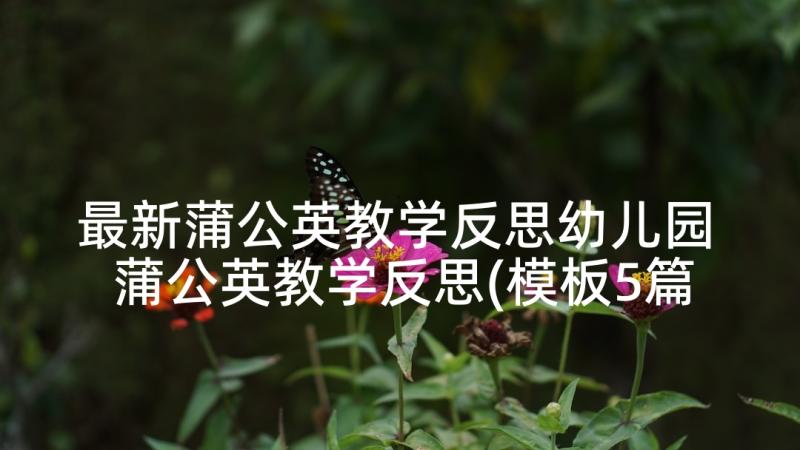 最新蒲公英教学反思幼儿园 蒲公英教学反思(模板5篇)