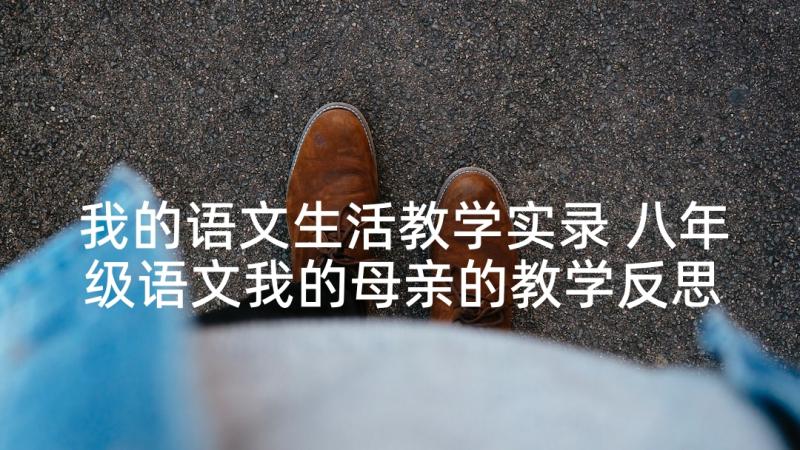 我的语文生活教学实录 八年级语文我的母亲的教学反思(优质10篇)