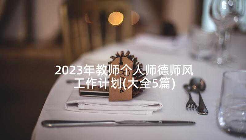 2023年教师个人师德师风工作计划(大全5篇)