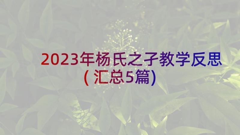 2023年杨氏之孑教学反思(汇总5篇)