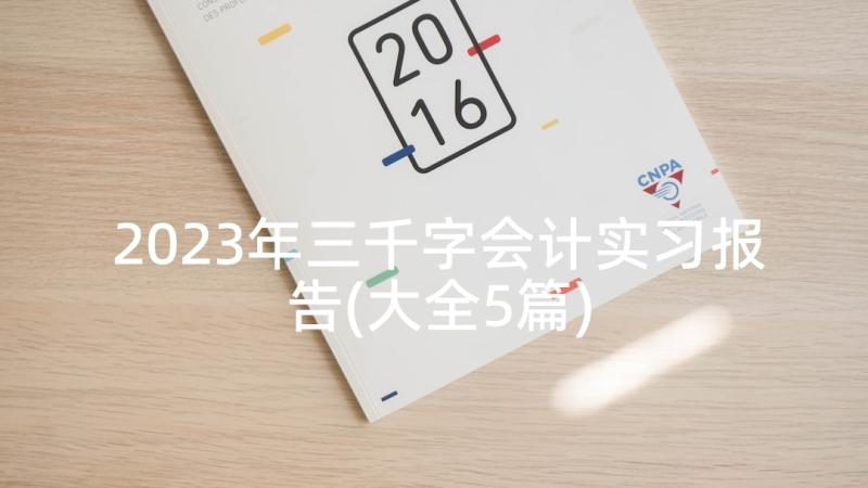 2023年三千字会计实习报告(大全5篇)