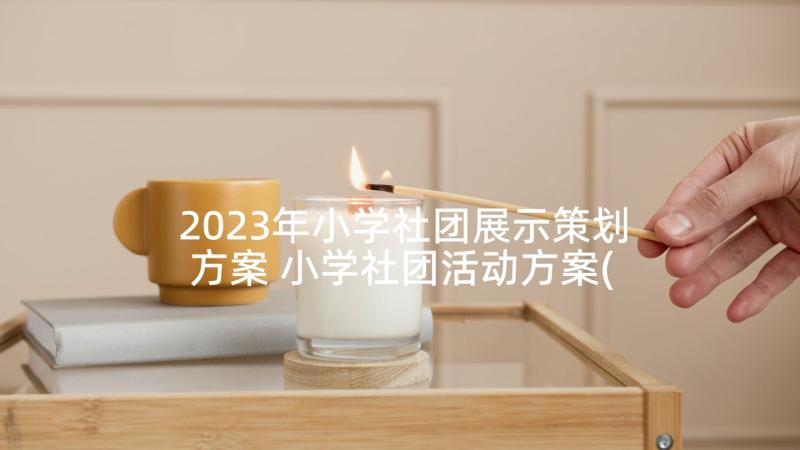 2023年小学社团展示策划方案 小学社团活动方案(模板10篇)