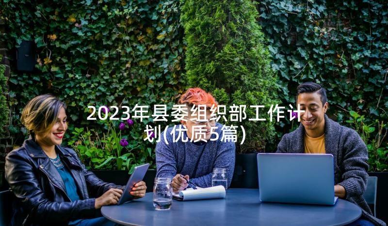 2023年县委组织部工作计划(优质5篇)