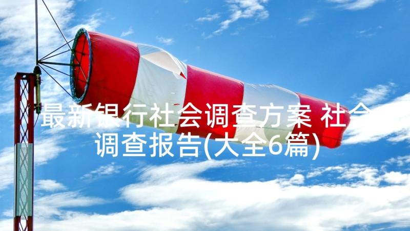 最新银行社会调查方案 社会调查报告(大全6篇)