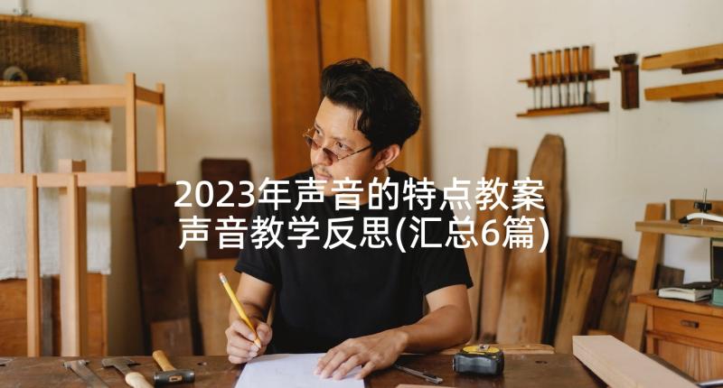 2023年声音的特点教案 声音教学反思(汇总6篇)