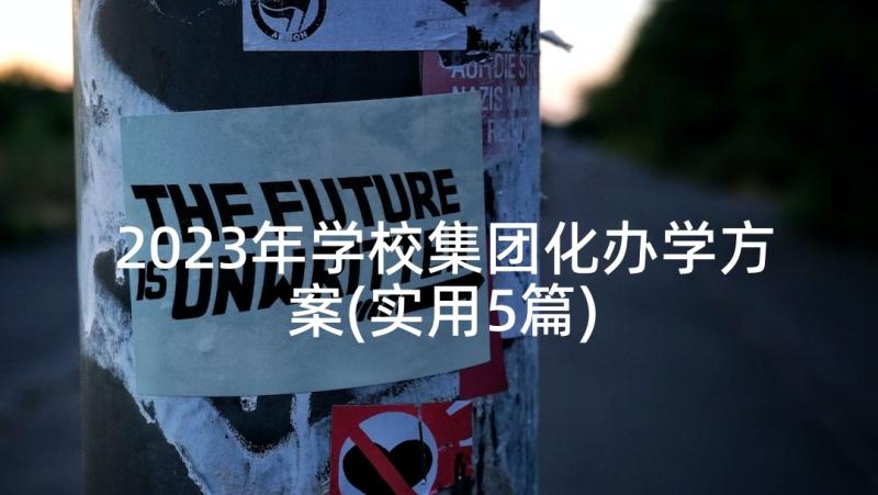 2023年学校集团化办学方案(实用5篇)