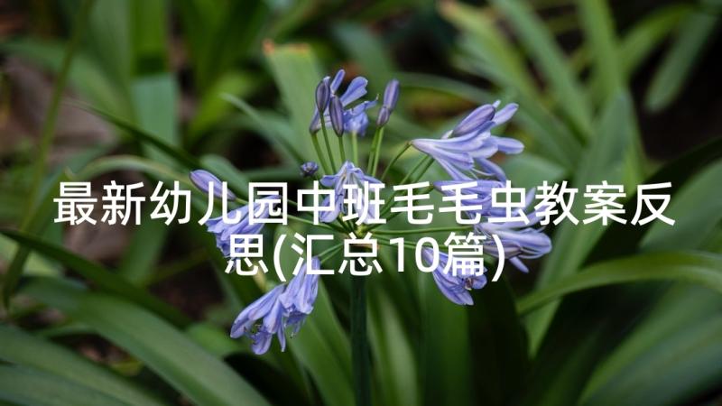 最新幼儿园中班毛毛虫教案反思(汇总10篇)