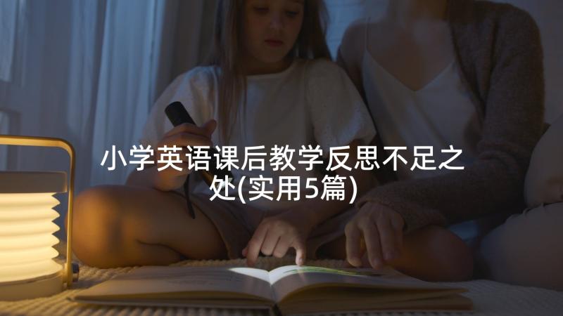 小学英语课后教学反思不足之处(实用5篇)