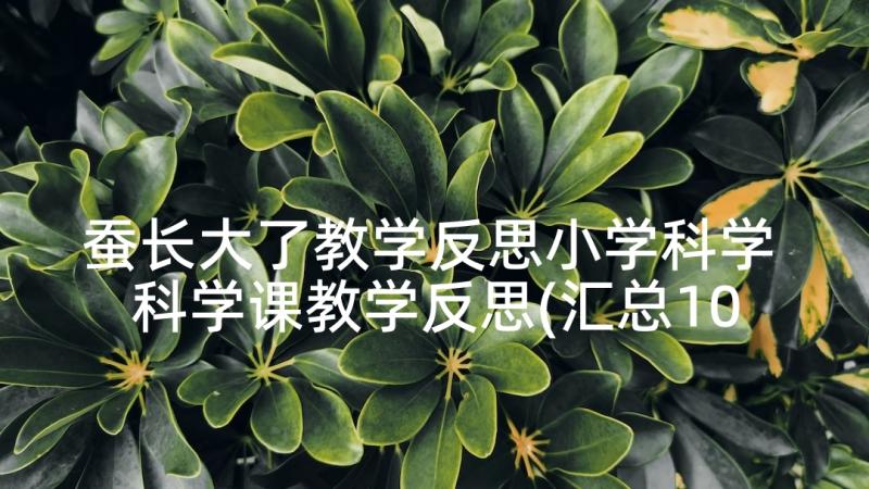 蚕长大了教学反思小学科学 科学课教学反思(汇总10篇)