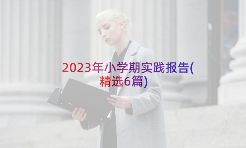 2023年小学期实践报告(精选6篇)