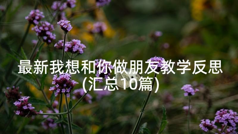 最新我想和你做朋友教学反思(汇总10篇)