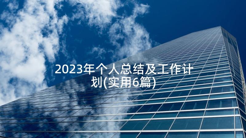 2023年个人总结及工作计划(实用6篇)