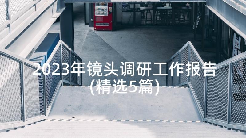 2023年镜头调研工作报告(精选5篇)