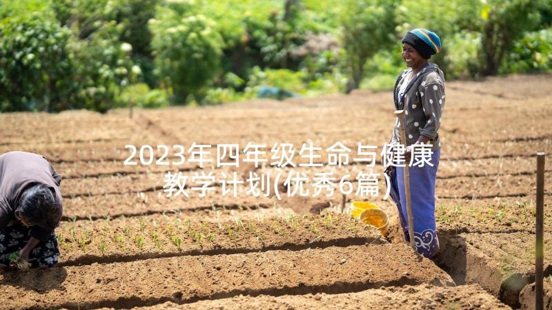 2023年四年级生命与健康教学计划(优秀6篇)