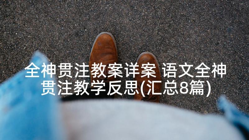 全神贯注教案详案 语文全神贯注教学反思(汇总8篇)