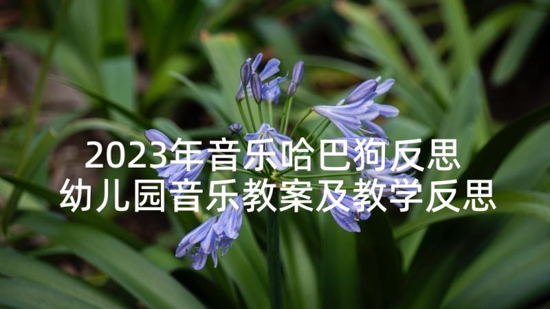 2023年音乐哈巴狗反思 幼儿园音乐教案及教学反思(精选5篇)