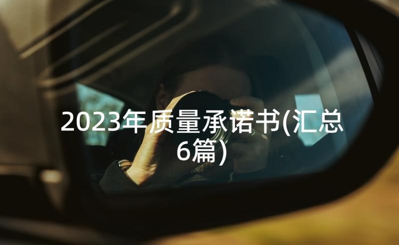 2023年质量承诺书(汇总6篇)