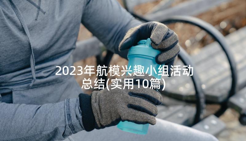 2023年航模兴趣小组活动总结(实用10篇)