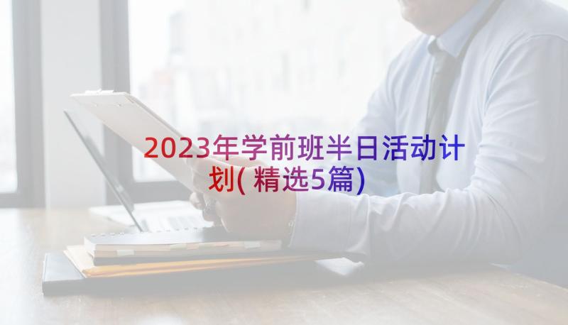 2023年学前班半日活动计划(精选5篇)