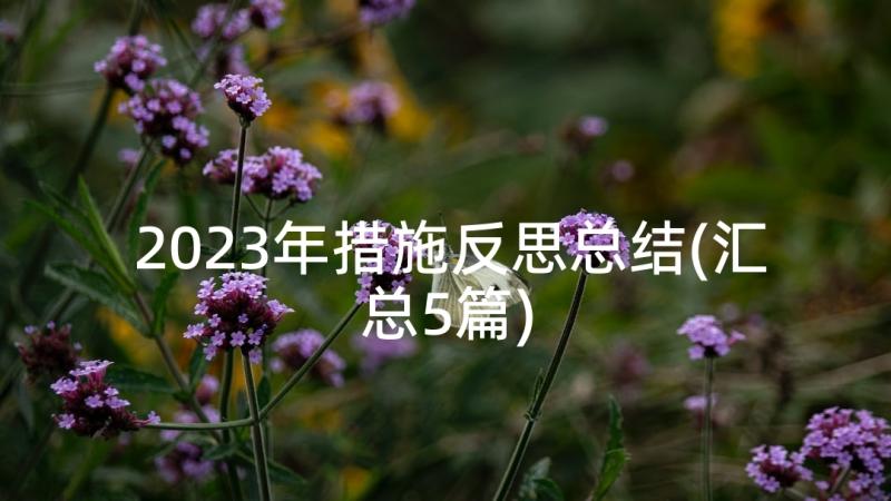 2023年措施反思总结(汇总5篇)