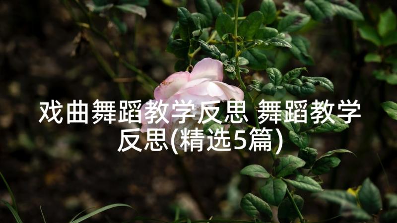 戏曲舞蹈教学反思 舞蹈教学反思(精选5篇)