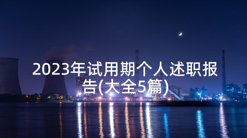 2023年试用期个人述职报告(大全5篇)