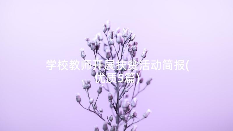 学校教师开展扶贫活动简报(优质5篇)