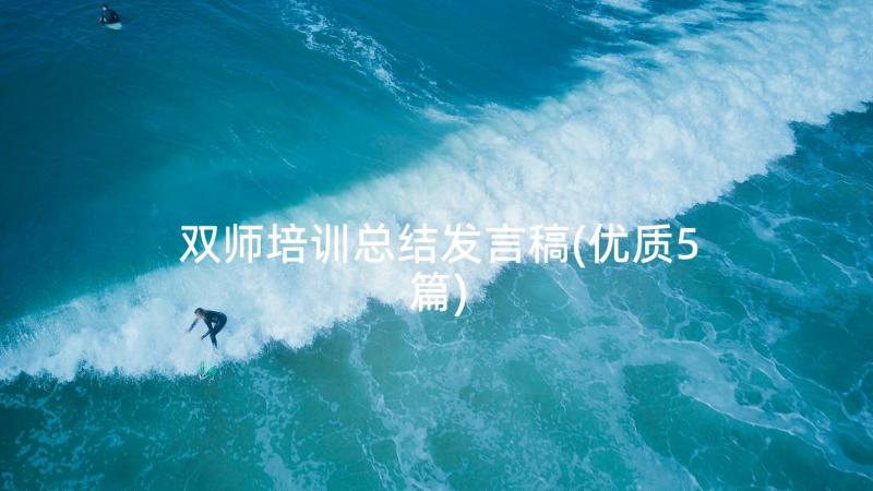 双师培训总结发言稿(优质5篇)