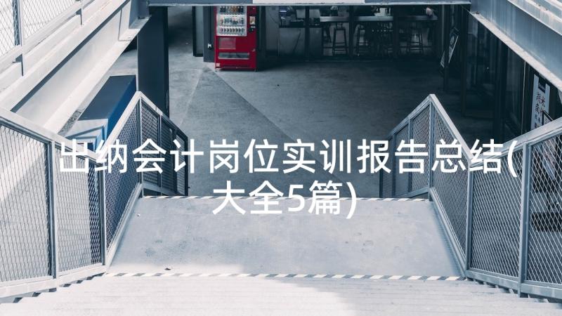 出纳会计岗位实训报告总结(大全5篇)