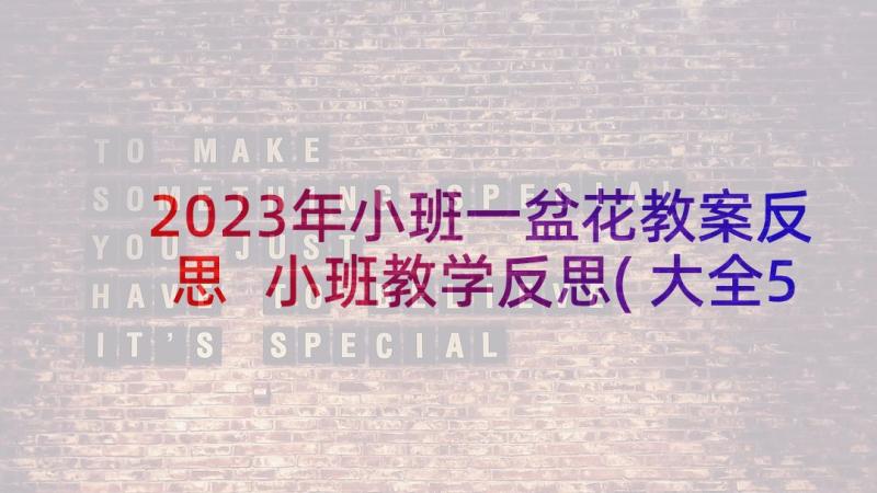 2023年小班一盆花教案反思 小班教学反思(大全5篇)