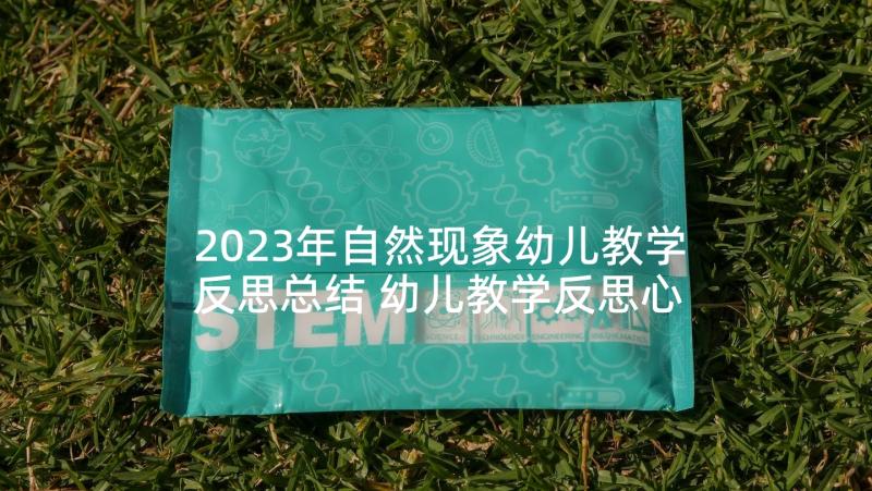 2023年自然现象幼儿教学反思总结 幼儿教学反思心得体会(实用8篇)