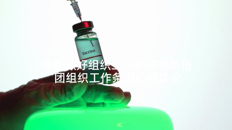 最新做好组织工作的感想感悟 团组织工作条例心得体会(优秀10篇)