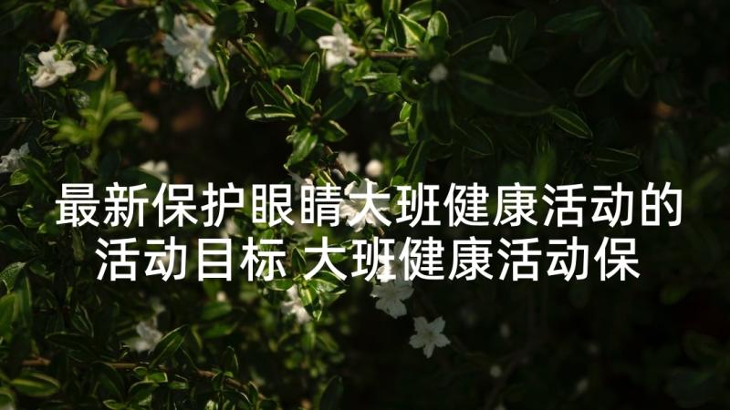 最新保护眼睛大班健康活动的活动目标 大班健康活动保护眼睛教案(实用5篇)