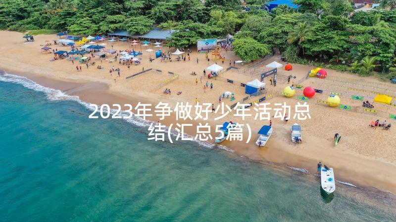 2023年争做好少年活动总结(汇总5篇)